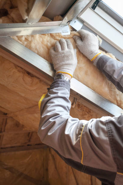 Best Residential Insulation in Lodi, OH