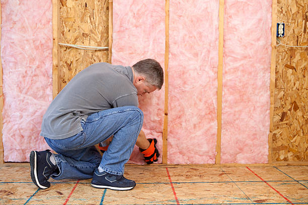 Best Geographic-Specific Insulation Services in Lodi, OH