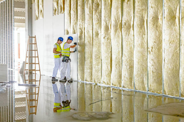 Best Insulation Maintenance and Repair in Lodi, OH
